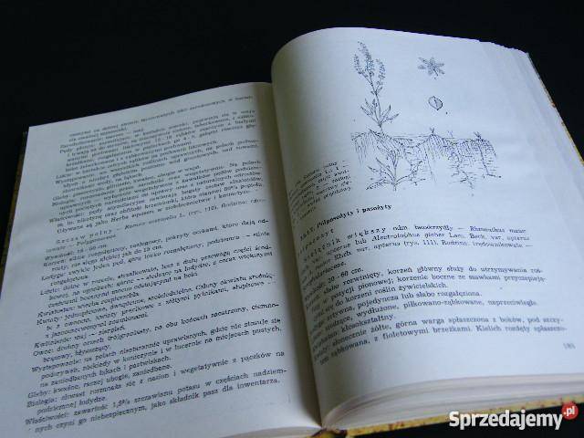 OGÓLNA UPRAWA ROLI I ROŚLIN fa rolnictwo, nauki rolnicze