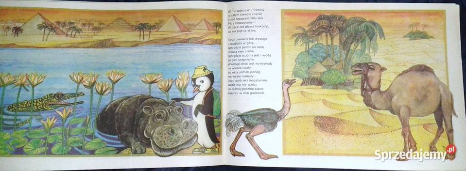 Pingwin wyrusza w świat spod bieguna Korewicka Chełm sprzedam