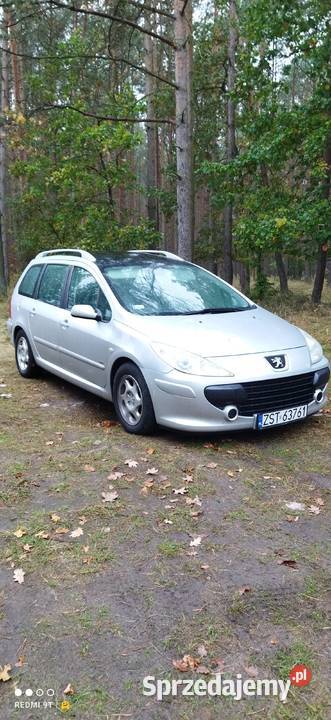 Peugeot 307sw 16hdi zachodniopomorskie Babigoszcz