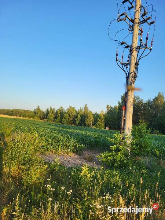 Sprzedam atrakcyjną działkę rolnobudowlaną ok 4500m2 lubelskie