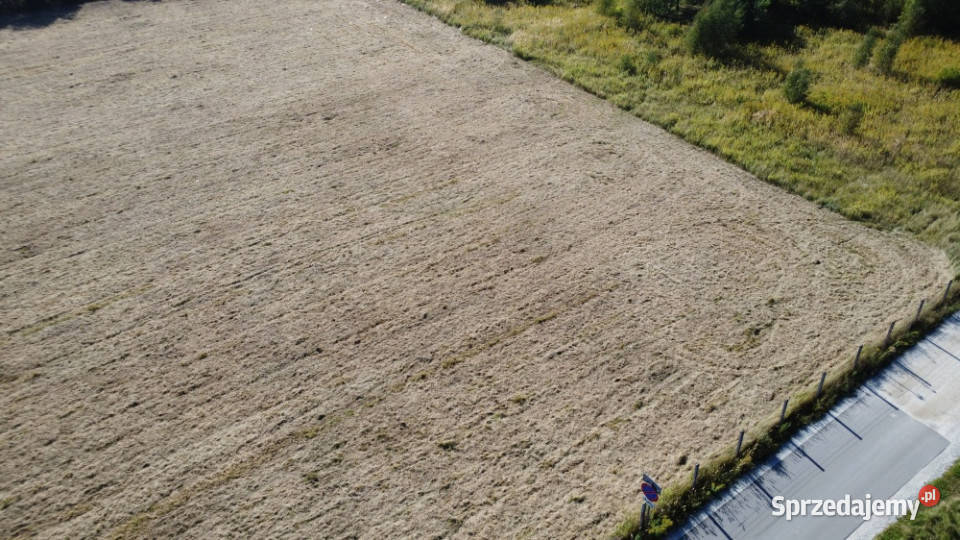 Działka budowlana w Lubinie Tulipanowa 824 m Lubin