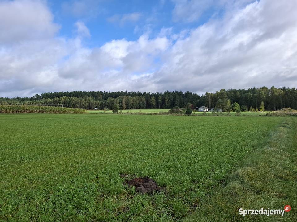 DZIAŁKA BUDOWLANA ŁĄŻEK KOŁO TLENIA BORY woda Łążek