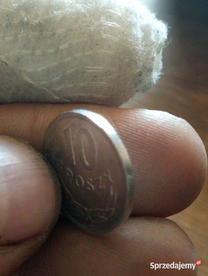 Sprzedam 10 gr 1985 r zzm Chełm