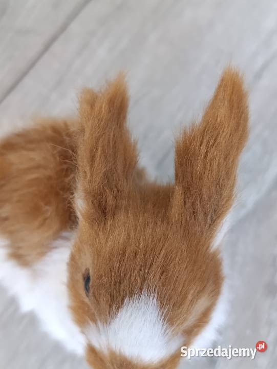 króliczek królik figurka Poznań