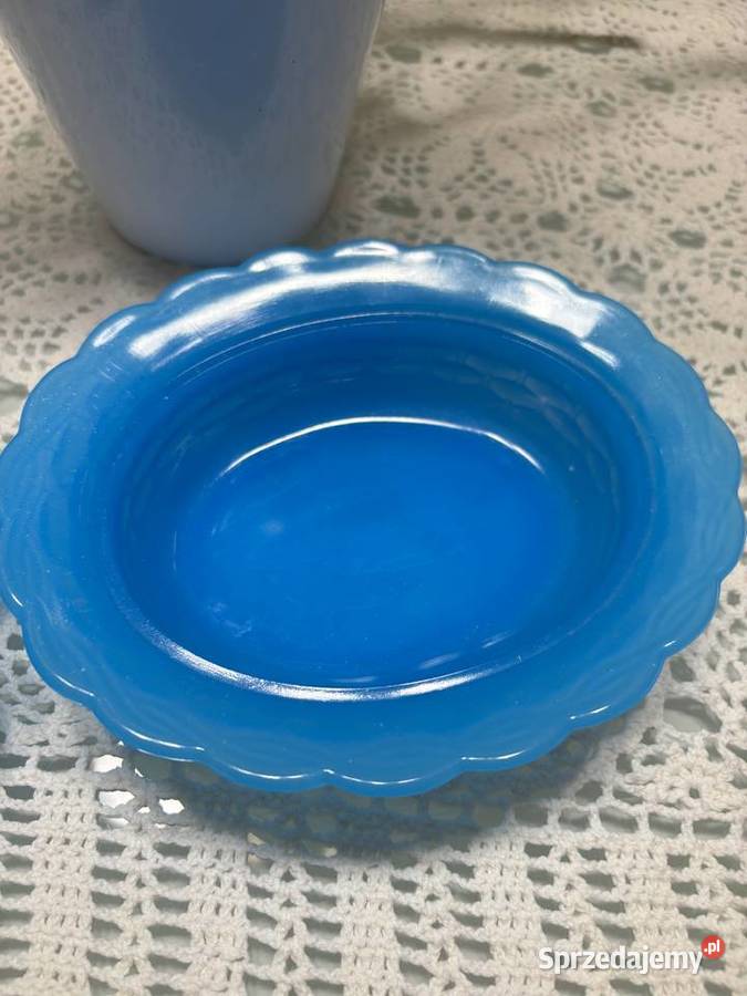 Kura w gnieździe Sędziejowice