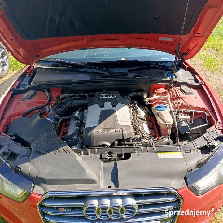 Audi S5 30 Tfsi Quattro Andrespol