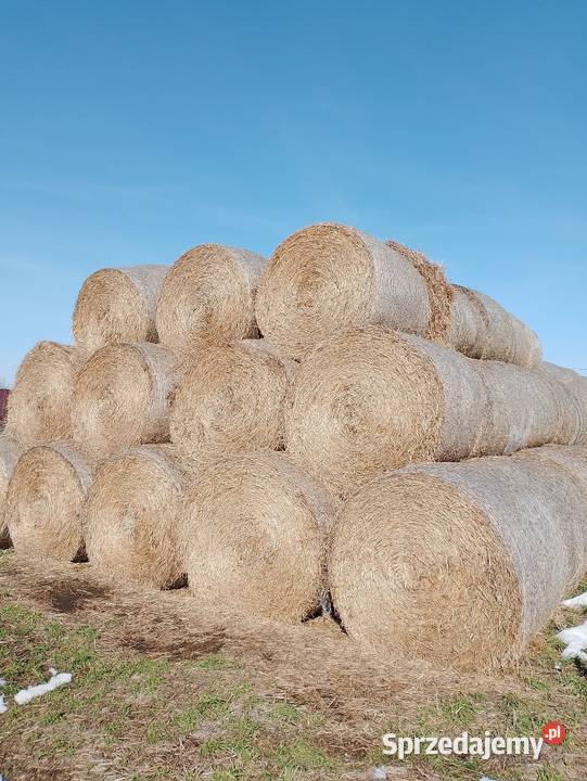 Słoma pszenna 160 Karmy i pasze lubelskie