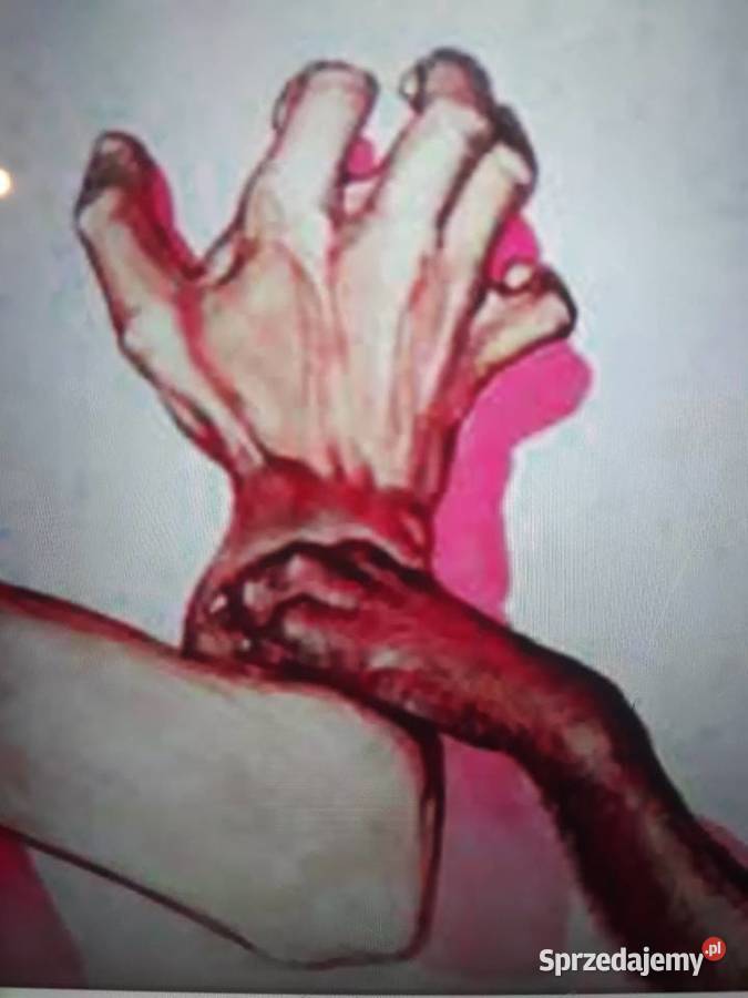 Archiwum bałkańskiego hard rocka PARNI VALJAK