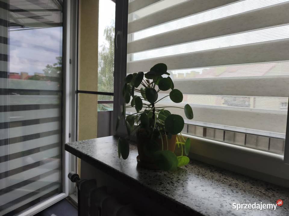 Dwupokojowe mieszkanie na Brandstaettera Tarnów