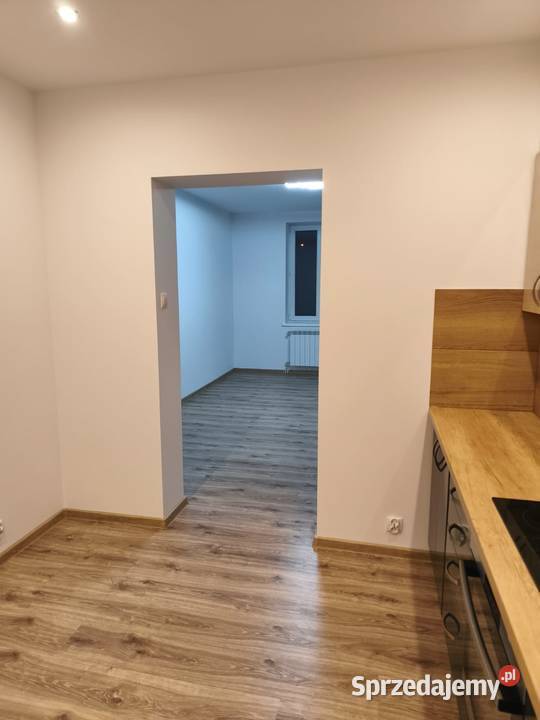 Wynajmę mieszkanie bezczynszowe Liczba pokoi 2 wielkopolskie Świerkówki