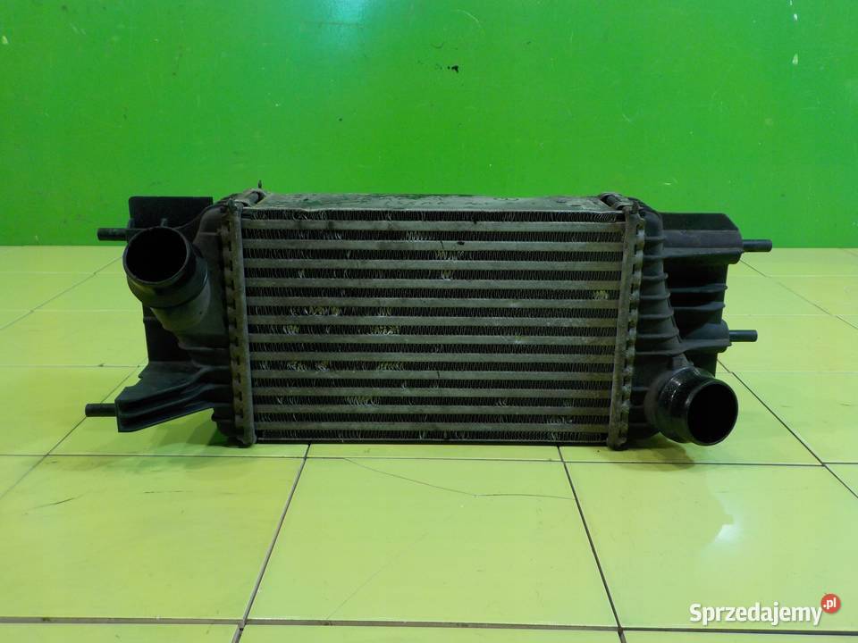 NISSAN NV200 15 DCI 14r VAN intercooler Suków