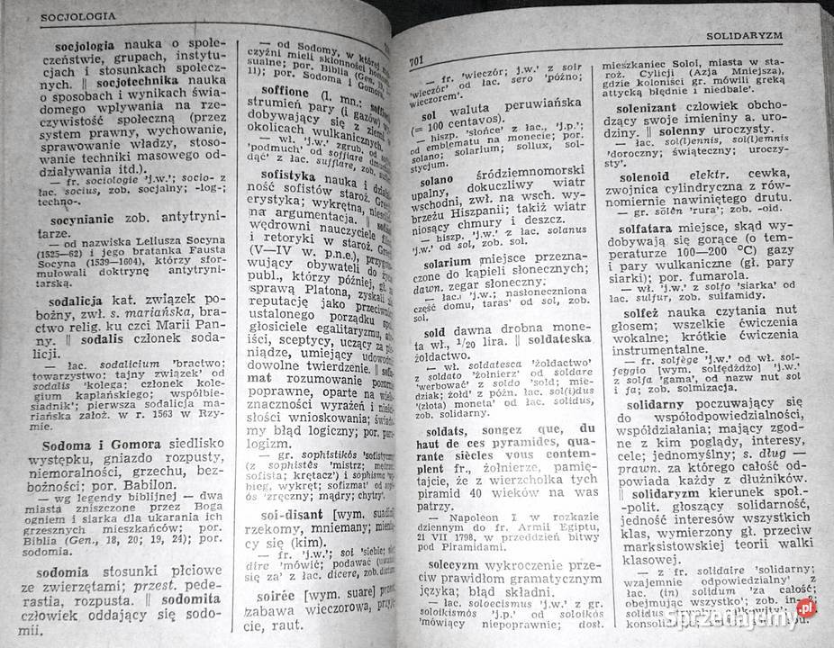 Słownik wyrazów obcych i zwrotów obcojęzycznych twarda Pozostałe Chełm