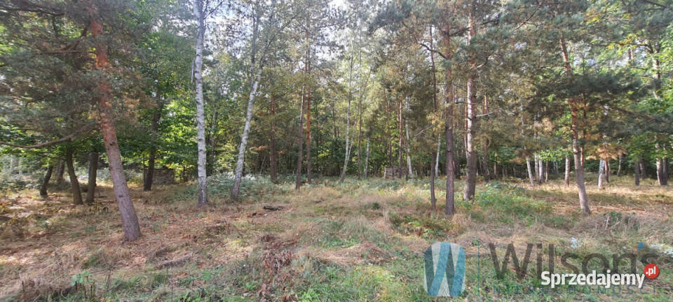 Grunt sprzedam Żabia Wola 1216m2