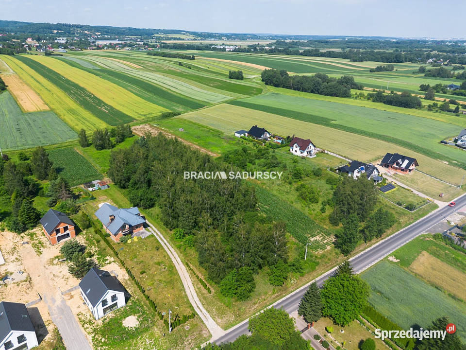 sprzedaży działki Cholerzyn 5800m2 Sprzedaż