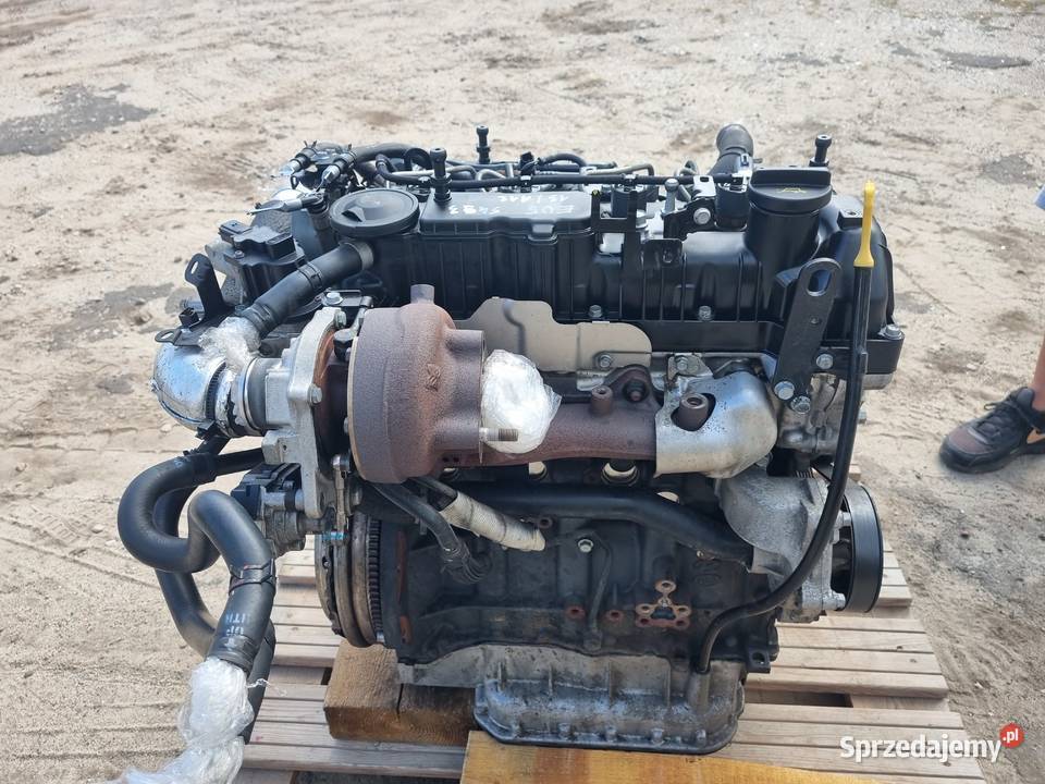 SILNIK D4HA 20 CRDI EU5 KIA SPORTAGE HYUNDAI Skierniewice