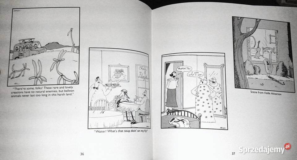 Last chapter and worse A far side collection Chełm