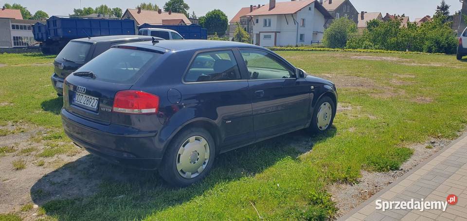 Zadbana Audi a3 8p 19 TDI Piława Górna