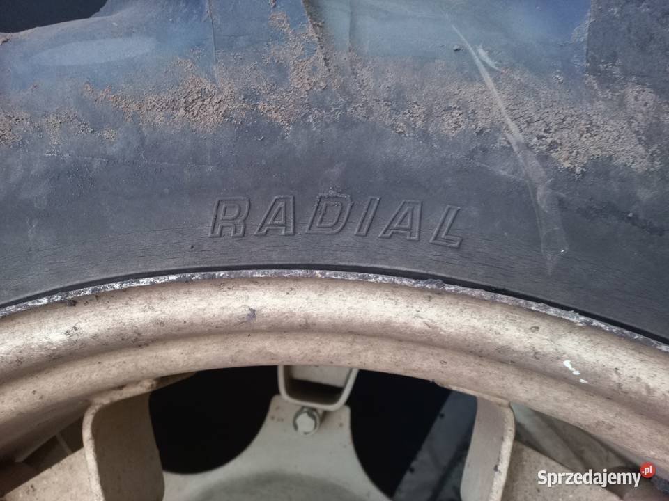 Koła wąskie do międzyrzędzi Zetor Ursus 124R36 Opony rolnicze Przykona sprzedam