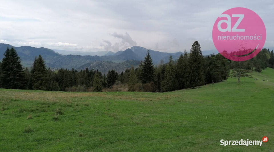 Malownicze 2 działki rolne w Szczawnicy rolna Sprzedaż Szczawnica sprzedam