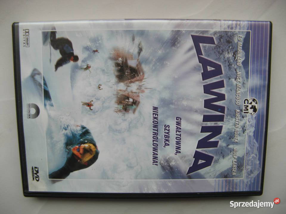 DVD Lawina reż Paul Ziller Poznań