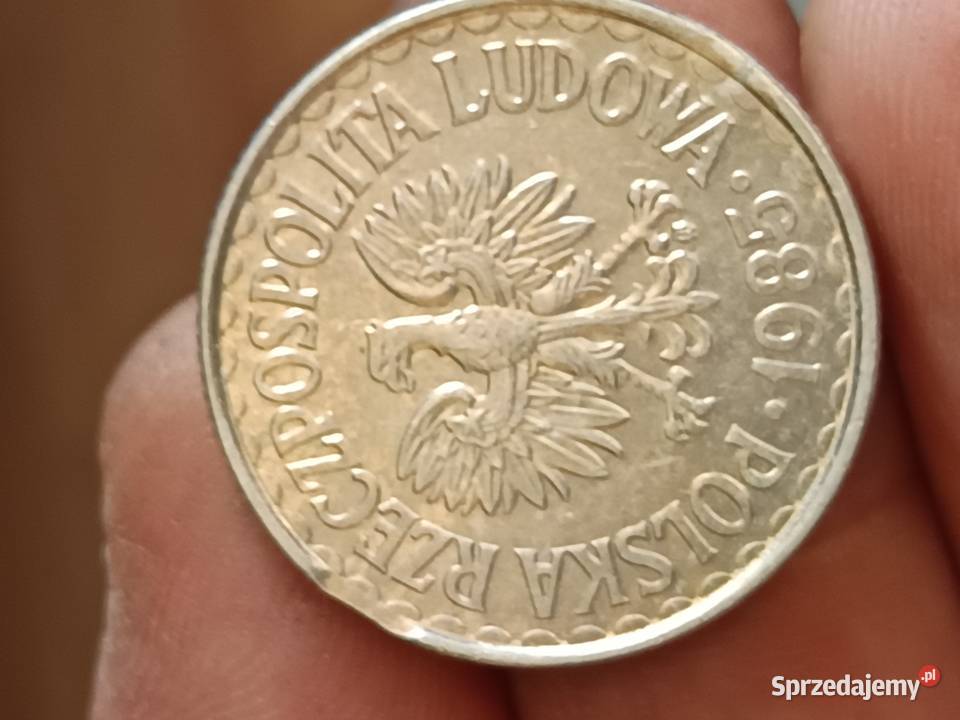 Sprzedam monete 1 zloty 1985 odkroj lachy xxxx Chełm
