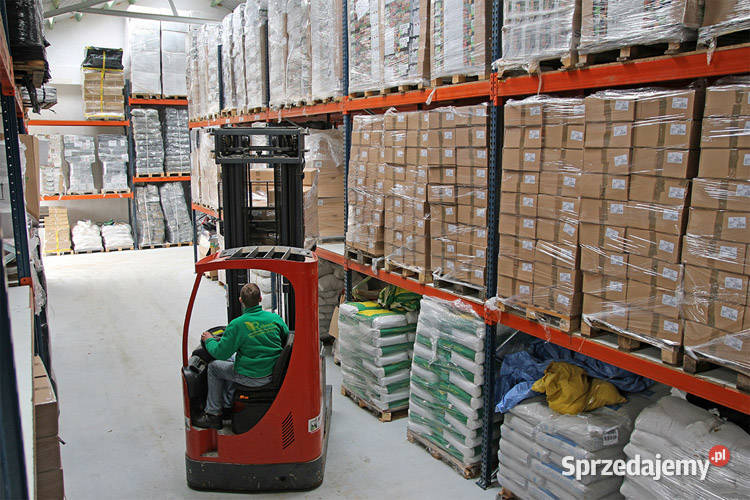 Strzykawka weterynaryjna Salfarm 05ml Igły 10mm Cieśle sprzedam