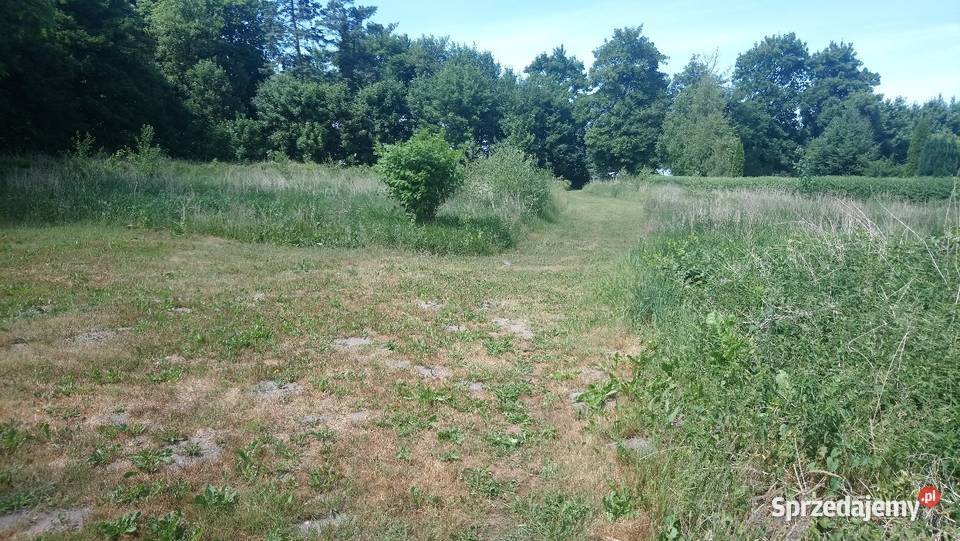 działki morzem z warunkami zabudowy Sprzedaż zachodniopomorskie Pobierowo