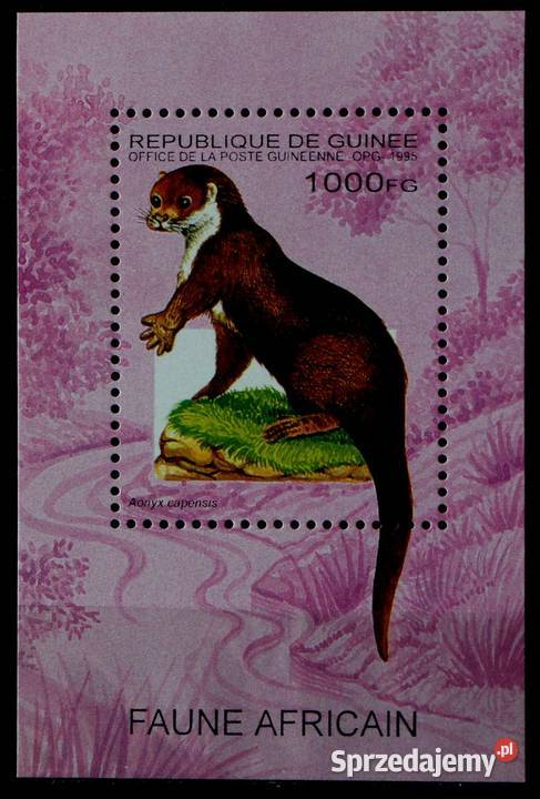 Rep Gwinea fauna wielkopolskie Oborniki