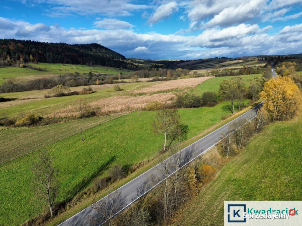 sprzedaży gruntu 587000m2 Daliowa