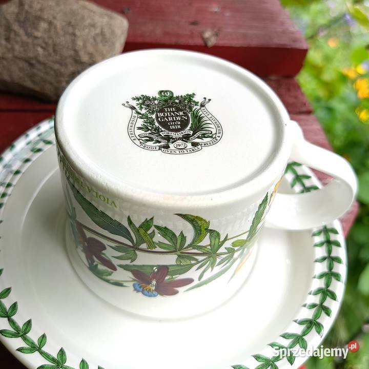 Portmeirion Botanic gardenFiliżanka z Szczytno