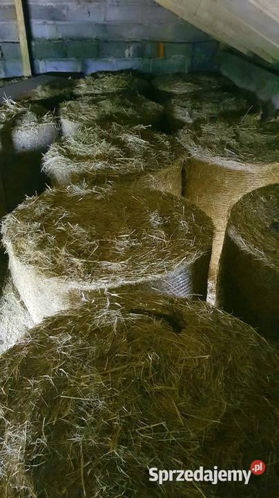 Siano w balotach 120 2025 wiązane siatką Wartkowice