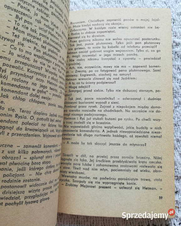 Chłopcy malowani Danuta ŚciborRylska