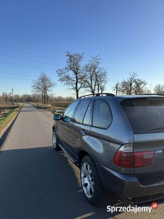 Sprzedam BMW x5 e53 X5 Domecko
