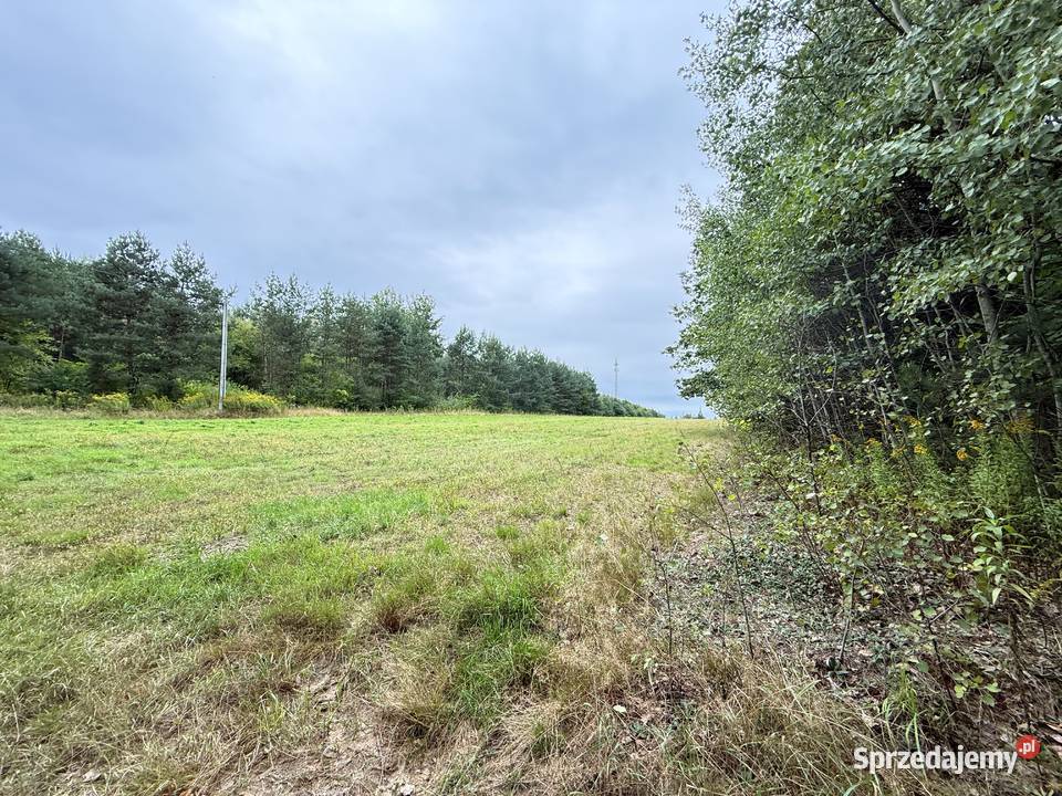Działka budowlana w Rosanowie wz pozwolenie na Sprzedaż
