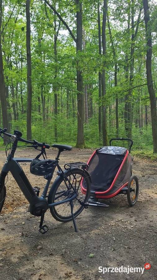 Rower elektryczny Gazelle Ultimate C8 Ligota Prószkowska