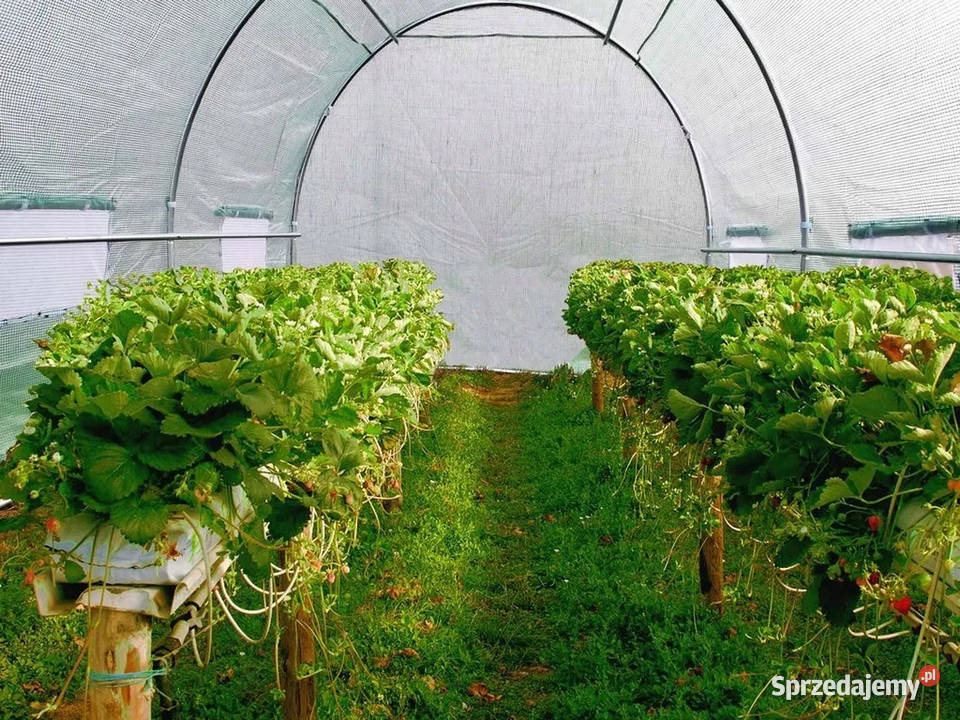 TUNEL FOLIOWY OGRODOWY szklarnia 2x3 m NOWY Kraków