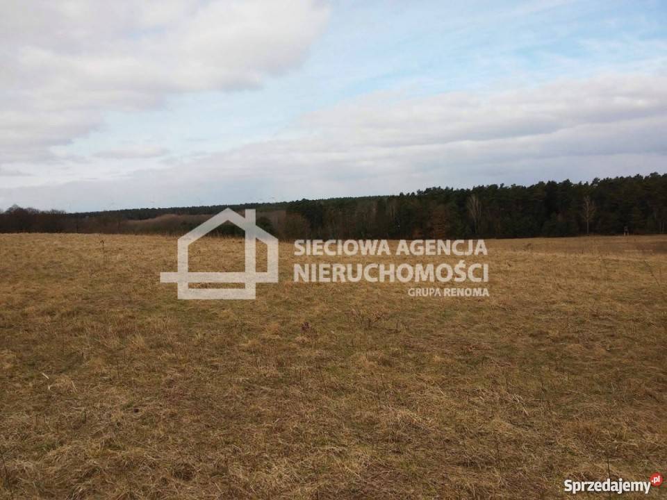 Działka 252100m2 252100m2
