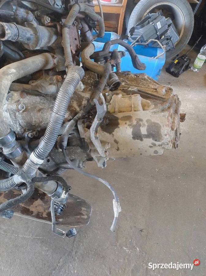 Skrzynia Biegów Fiat Scudo II 20 HDi Wysyłka Elbląg sprzedam