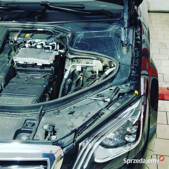Chiptuning Adblue EGR DPF Klapy Podniesienie
