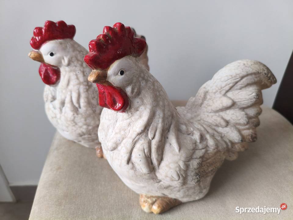 Kura i kogut zestaw Dębica sprzedam