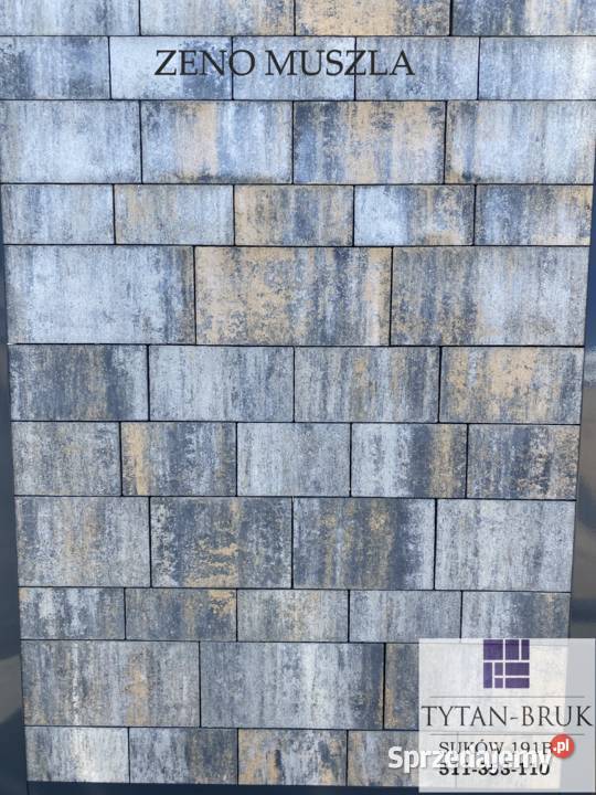 Forbet Kostka BrukowaZENOTytan Piryt Muszla