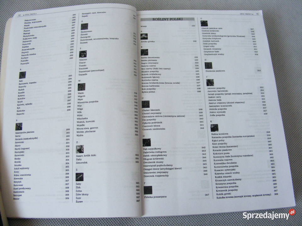 Monarsze sekrety Jankowski Ilustrowana Książki naukowe i popularnonaukowe Oborniki Śląskie