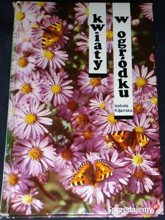 Kwiaty w ogródku Izabela Kiljańska Chełm