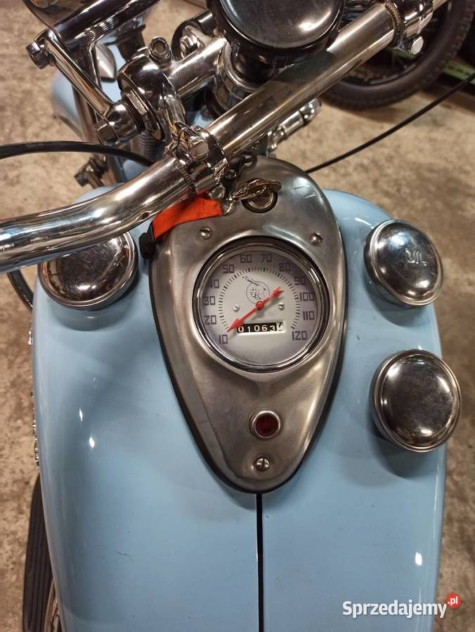 Indian chief Indian