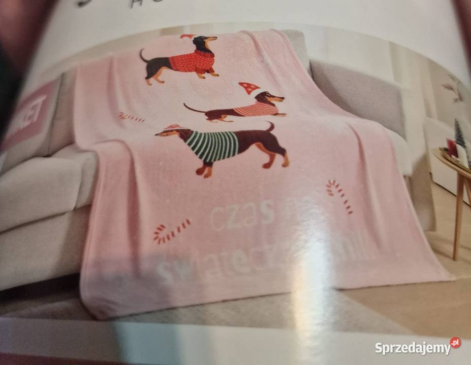 NOWY Koc z jamnikami ze świątecznymi jamnikami dolnośląskie Wrocław