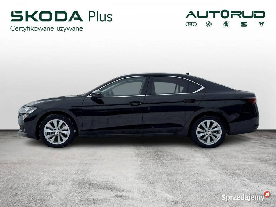 koda Superb Selection 20TDI 193 DSG 4X4 2024 Rok produkcji 2024 świętokrzyskie Kielce