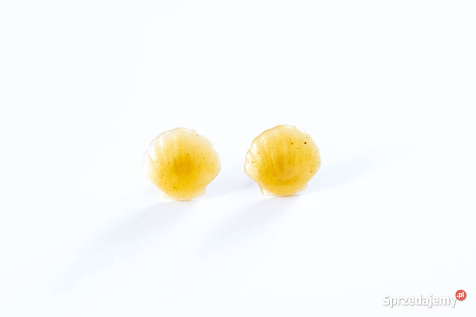 Kolczyki muszelki sztyfty kolor złoty z żywicy