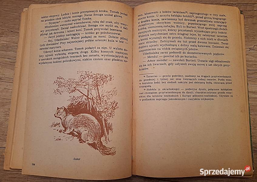 Tajemnicza wyprawa Tomka A Szklarski Rok wydania 1976 Ostrów Wielkopolski