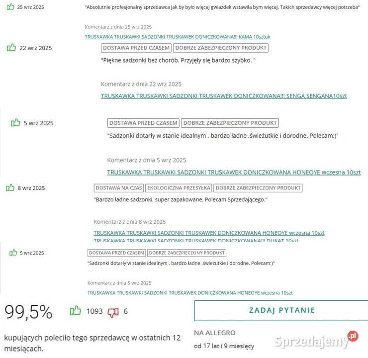 Sadzonki truskawek Truskawki Gigant doniczkowane Wilamowice
