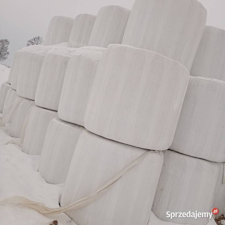 Sprzedam słome owiniętą prasie Mchele Burszewo